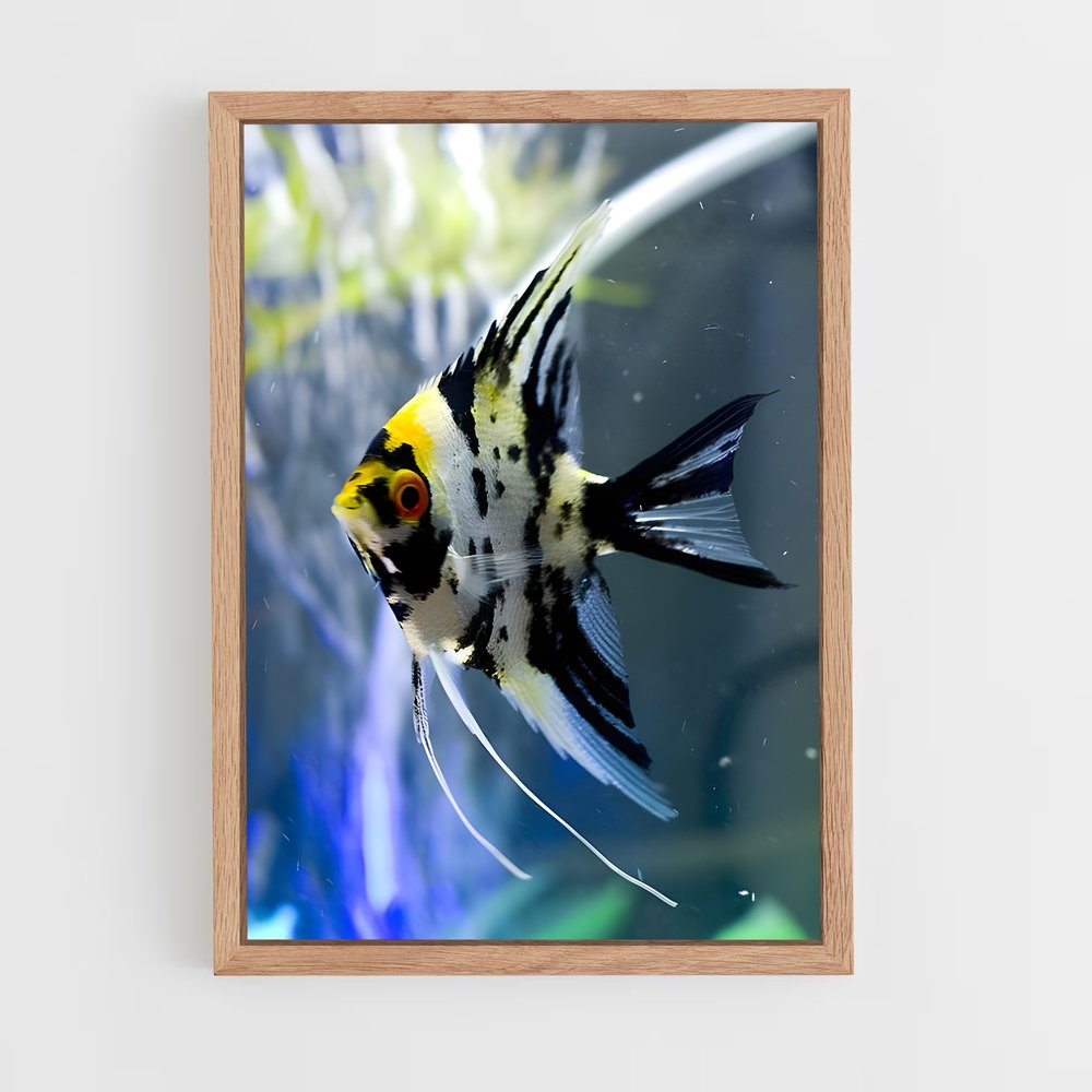 ap-angelfish-4 cadre Bois clair