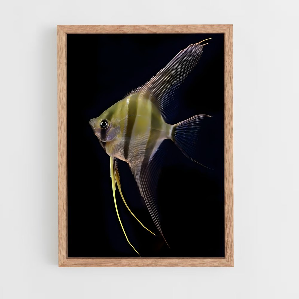 ap-angelfish-5 cadre Bois clair