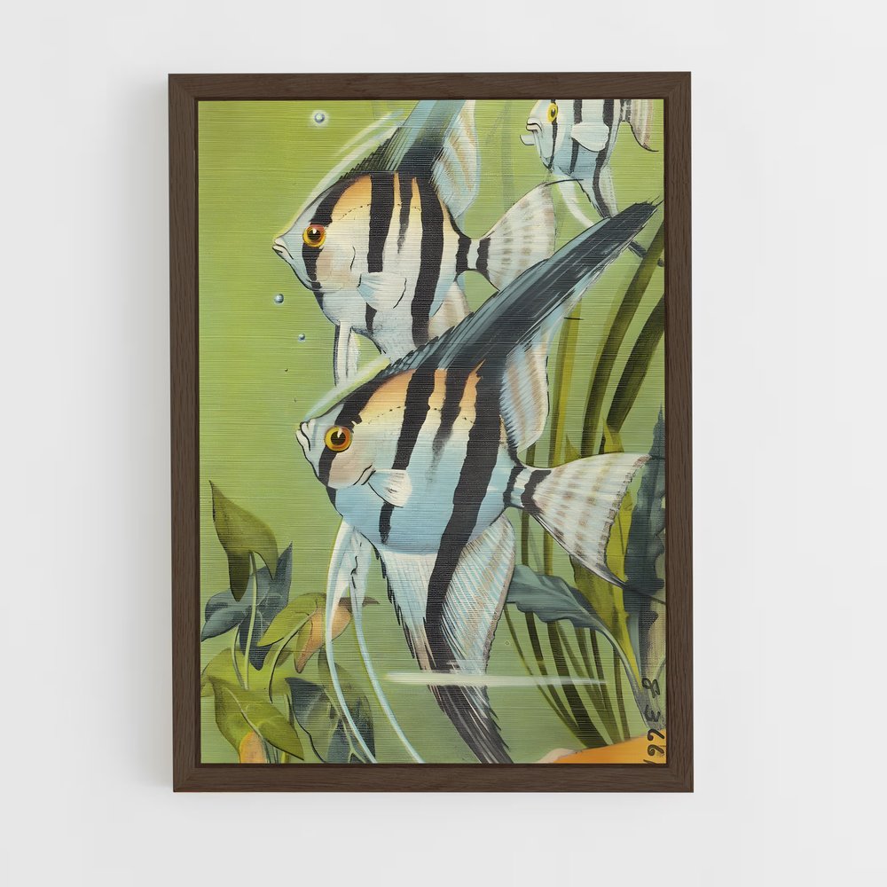ap-angelfish-8 cadre Bois foncé