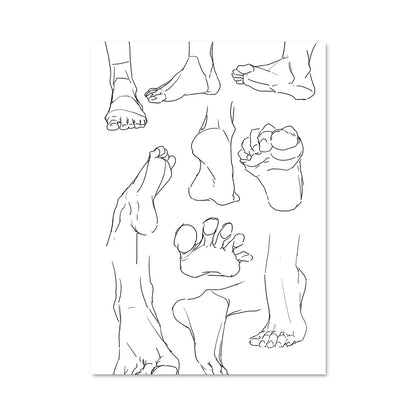 Poster Ankle 17476