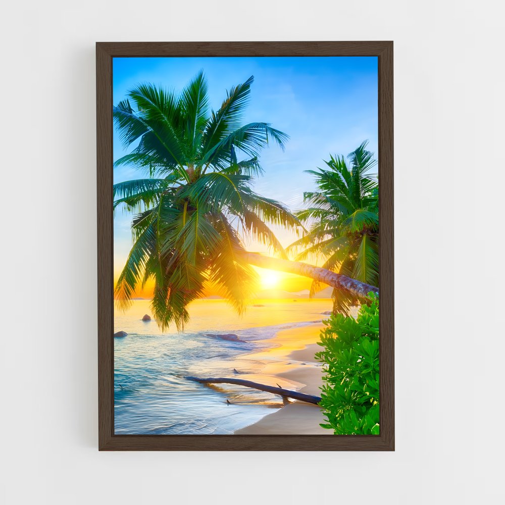 ap-anse lazio-8 cadre Bois foncé