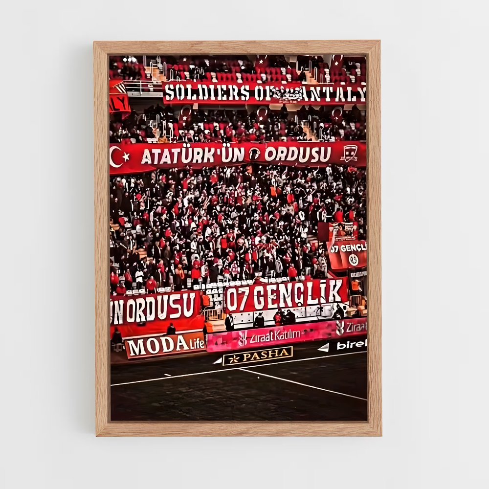 ap-antalyaspor-6 cadre Bois clair