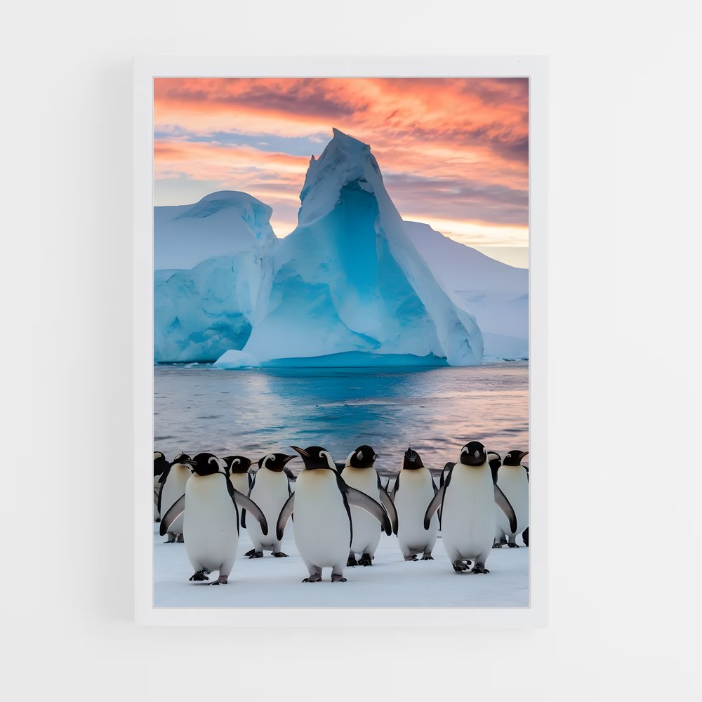 ap-antarctica-2 cadre Blanc