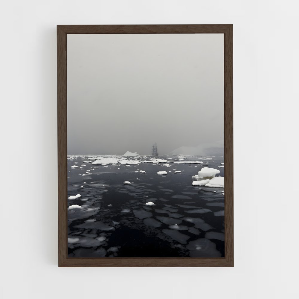 ap-antarctica-4 cadre Bois foncé