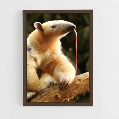 ap-anteater-4 cadre Bois foncé