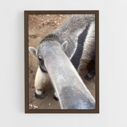 ap-anteater-5 cadre Bois foncé
