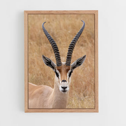 ap-antelope-9 cadre Bois clair