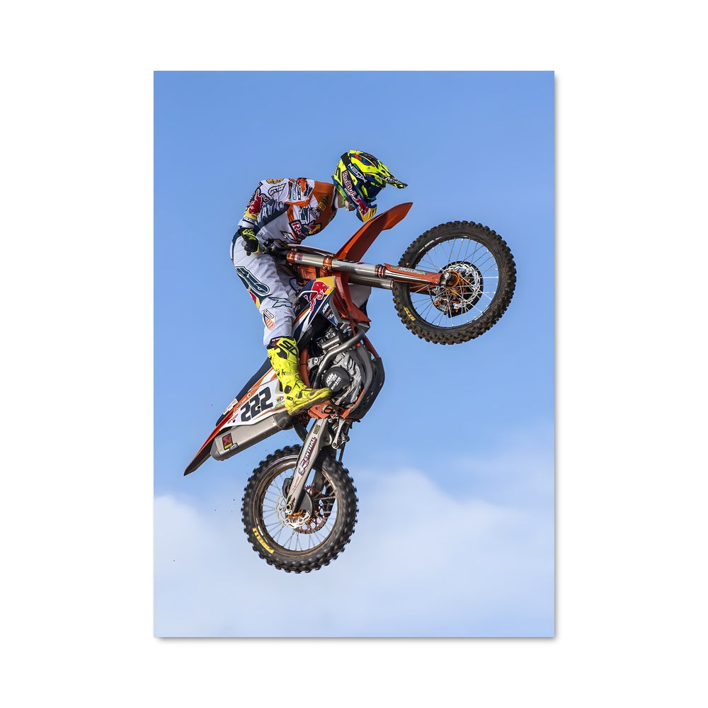 Poster Tricks en Vol