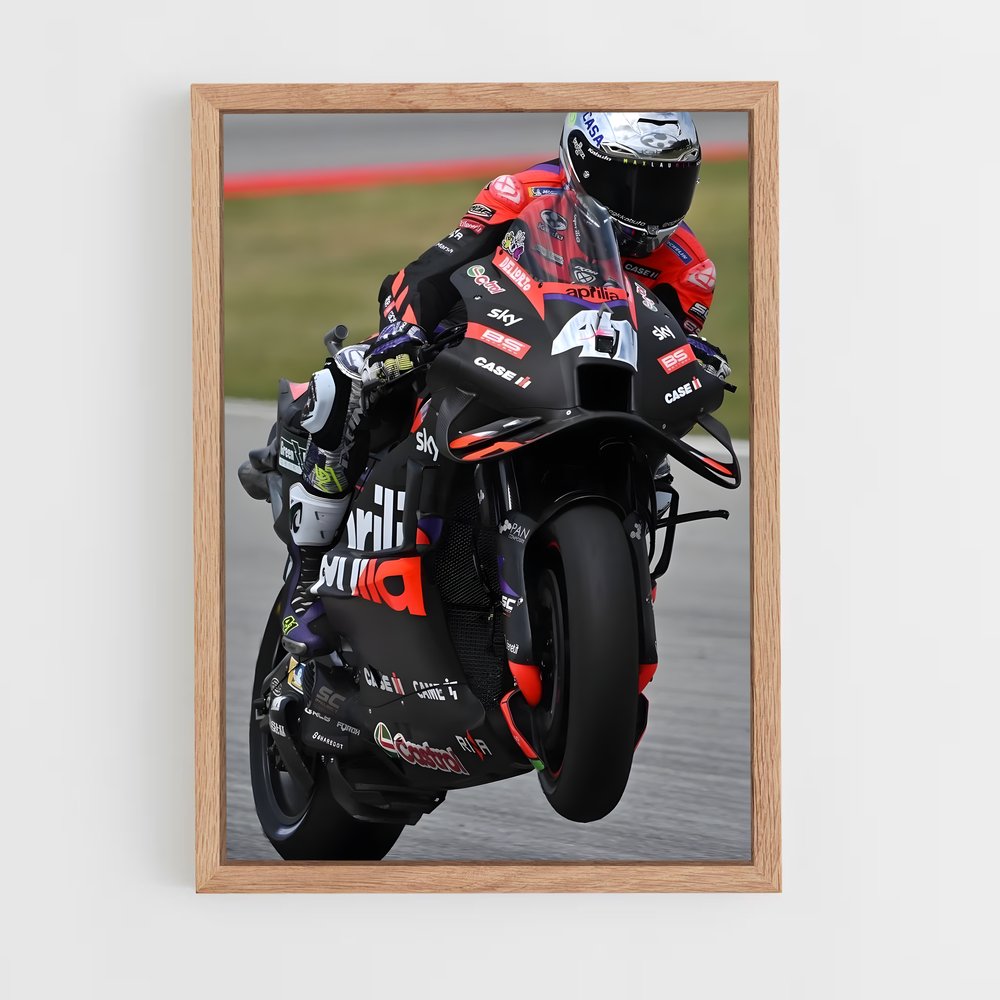 ap-aprilia racing-4 cadre Bois clair