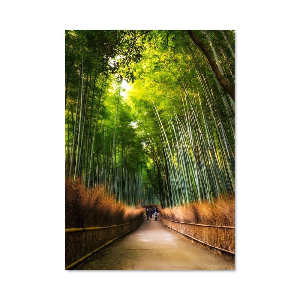 Poster Chemin de Bambou