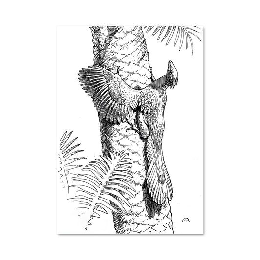 Poster L'Éveil du Vol