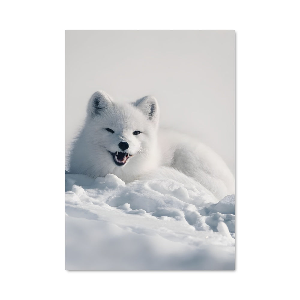 Poster Arctic fox 83067