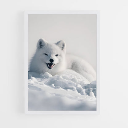 ap-arctic fox-1 cadre Blanc