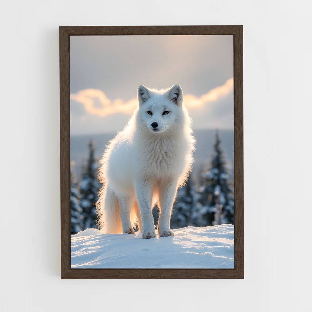 ap-arctic fox-2 cadre Bois foncé