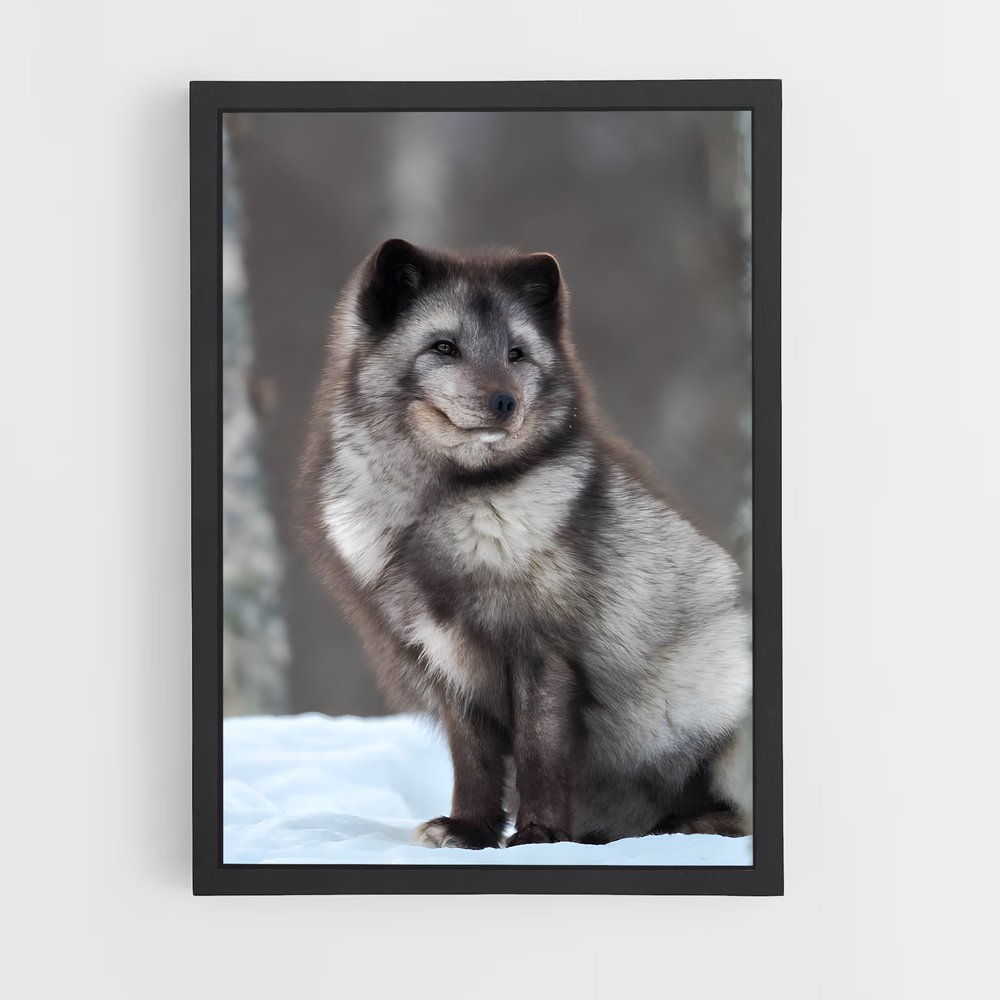 ap-arctic fox-3 cadre Noir
