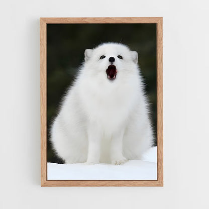 ap-arctic fox-4 cadre Bois clair