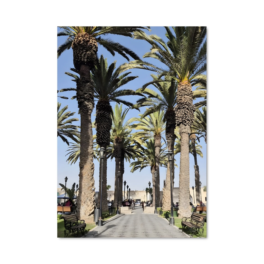 Poster Palmiers en Route