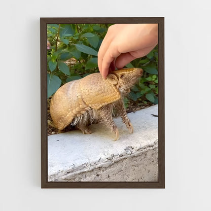 ap-armadillo-2 cadre Bois foncé