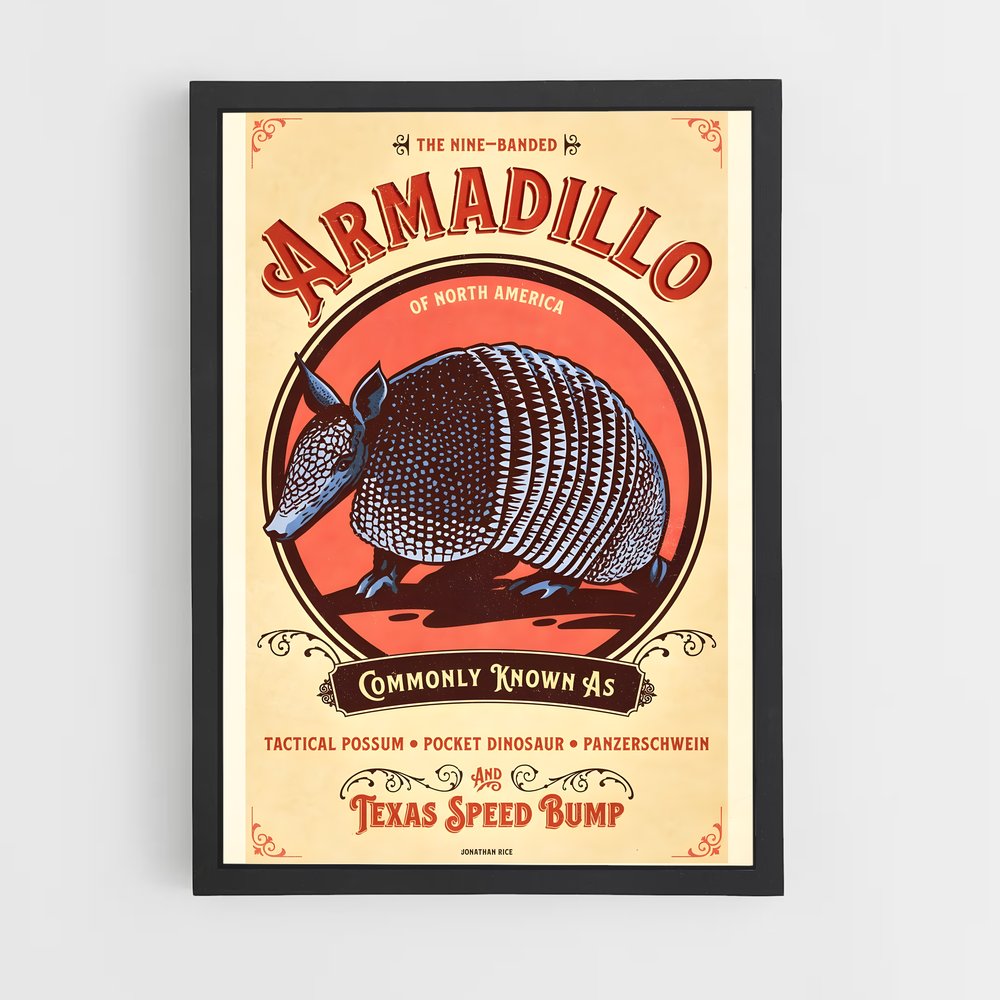 ap-armadillo-3 cadre Noir