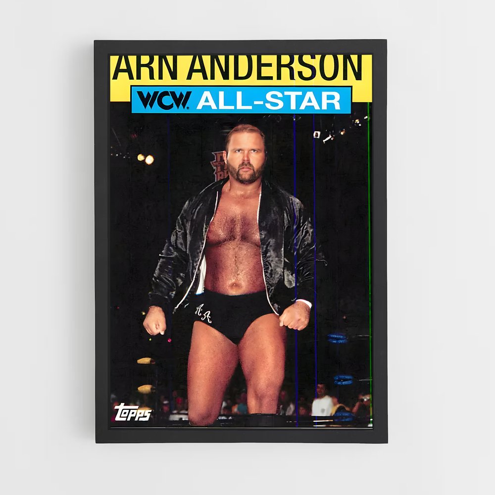 ap-arn anderson-3 cadre Noir