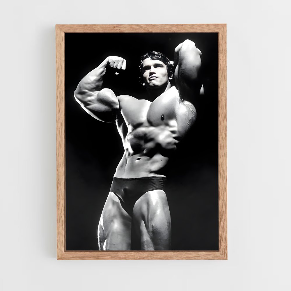 ap-arnold classic-2 cadre Bois clair