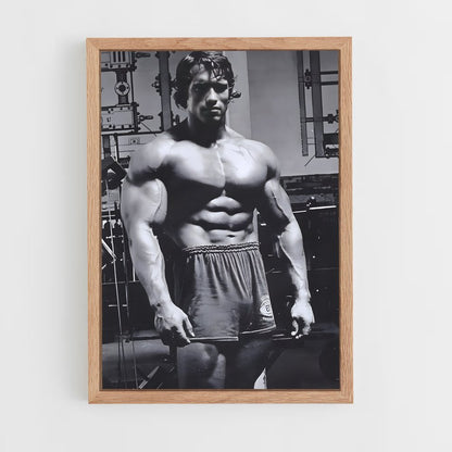 ap-arnold schwarzenegger-4 cadre Bois clair