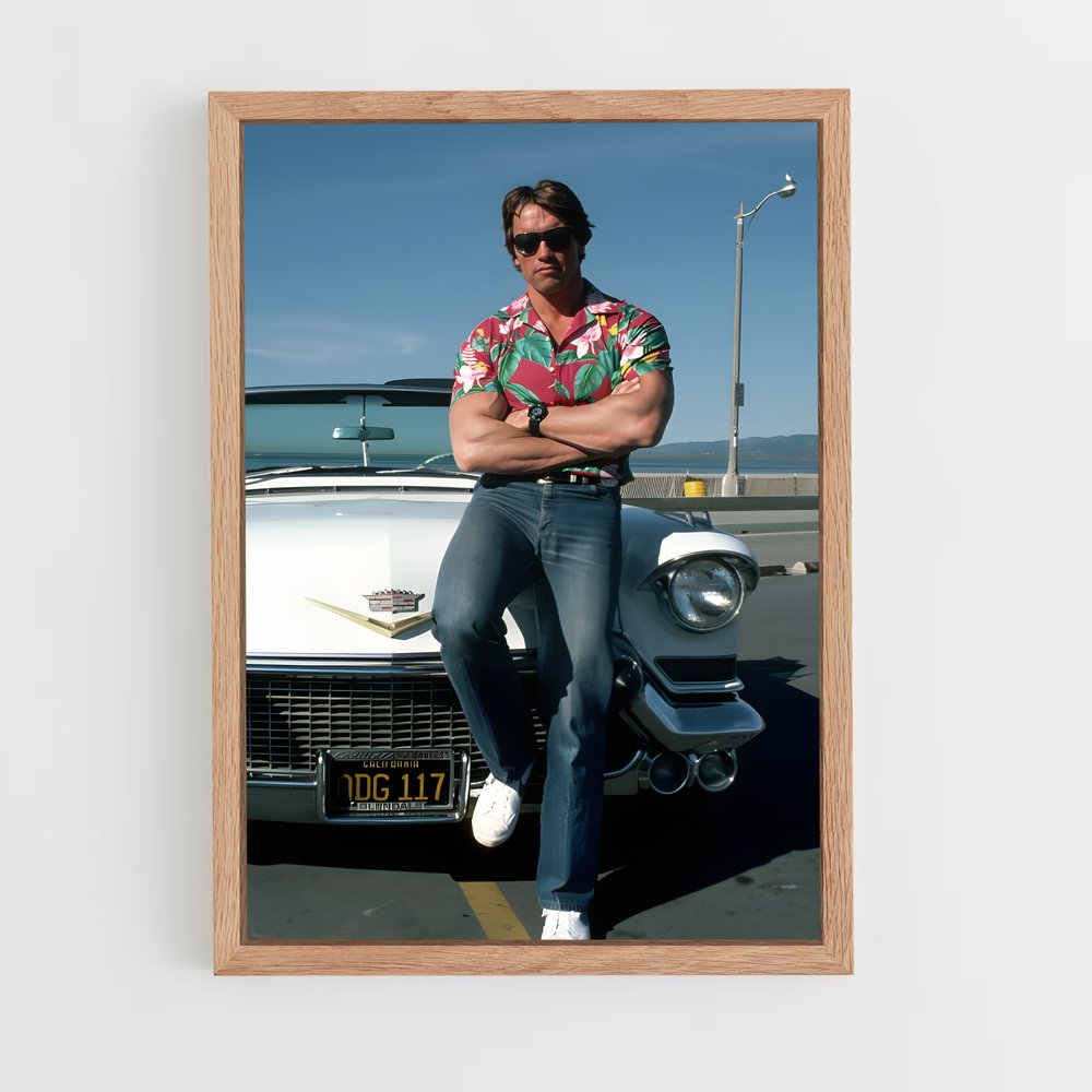 ap-arnold schwarzenegger-5 cadre Bois clair