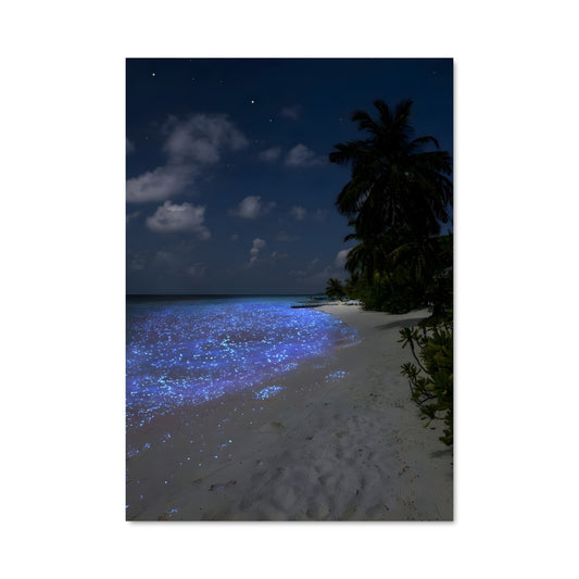 Poster Étoiles de Plage