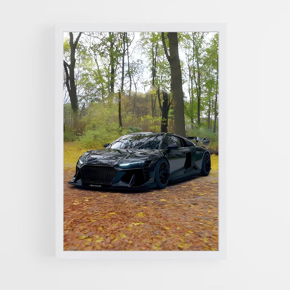 ap-audi-2 cadre Blanc