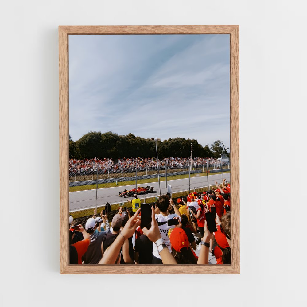 ap-autodromo nazionale monza-1 cadre Bois clair