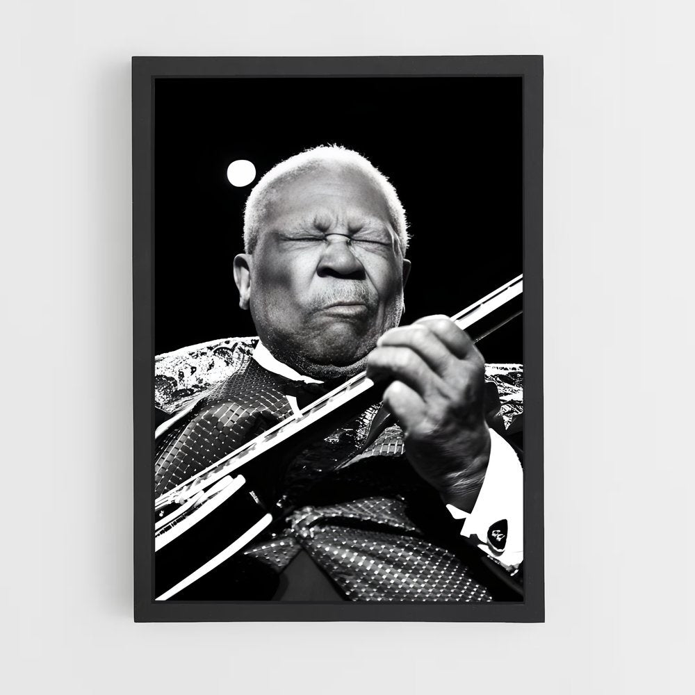 ap-b.b. king-1 cadre Noir