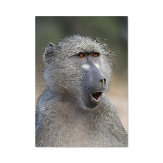 Poster Baboon Vibes