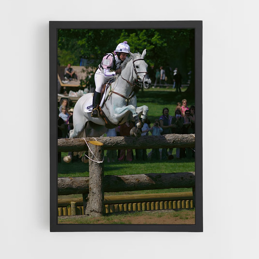 ap-badminton horse trials-3 cadre Noir