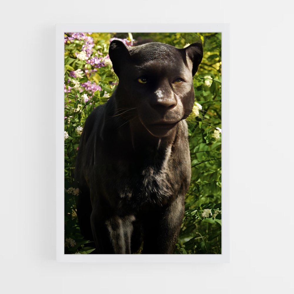 ap-bagheera-1 cadre Blanc