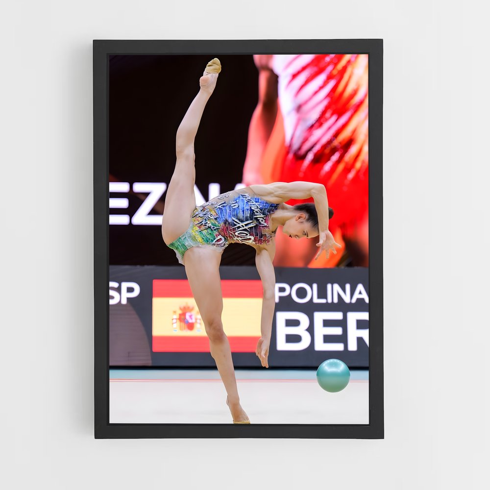 ap-ball rhythmic gymnastics-5 cadre Noir