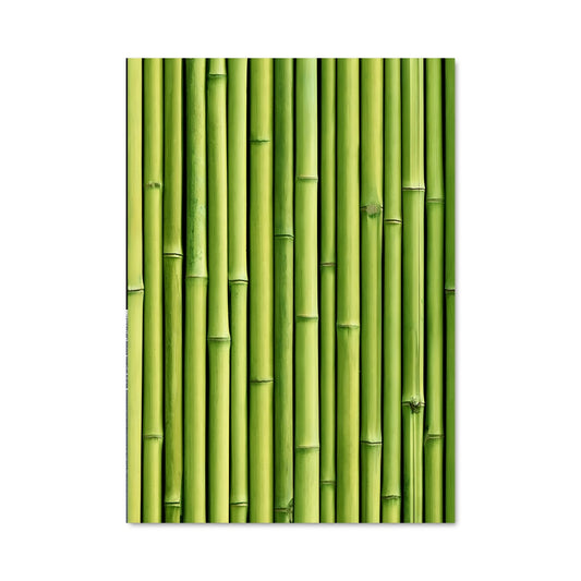Poster Bamboo Dreams
