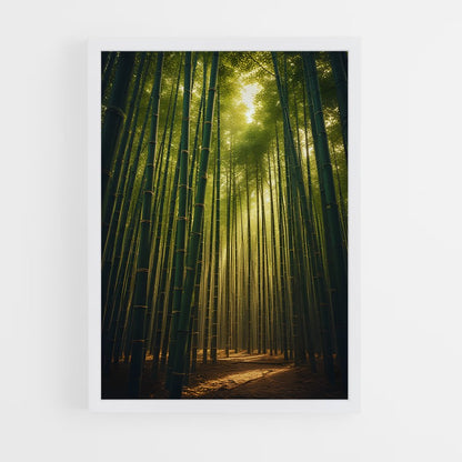 ap-bamboo forest-8 cadre Blanc