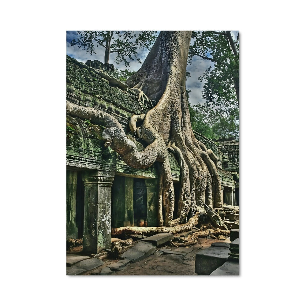 Poster Racine des Ruines