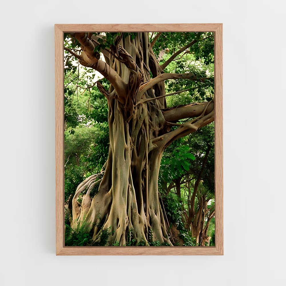ap-banyan tree-1 cadre Bois clair