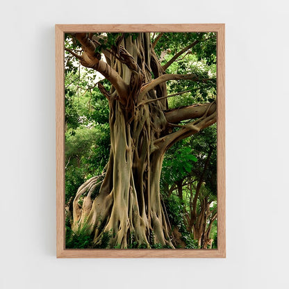 ap-banyan tree-1 cadre Bois clair