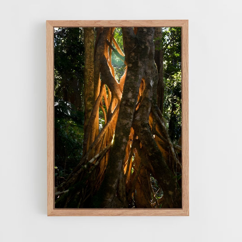 ap-banyan tree-5 cadre Bois clair