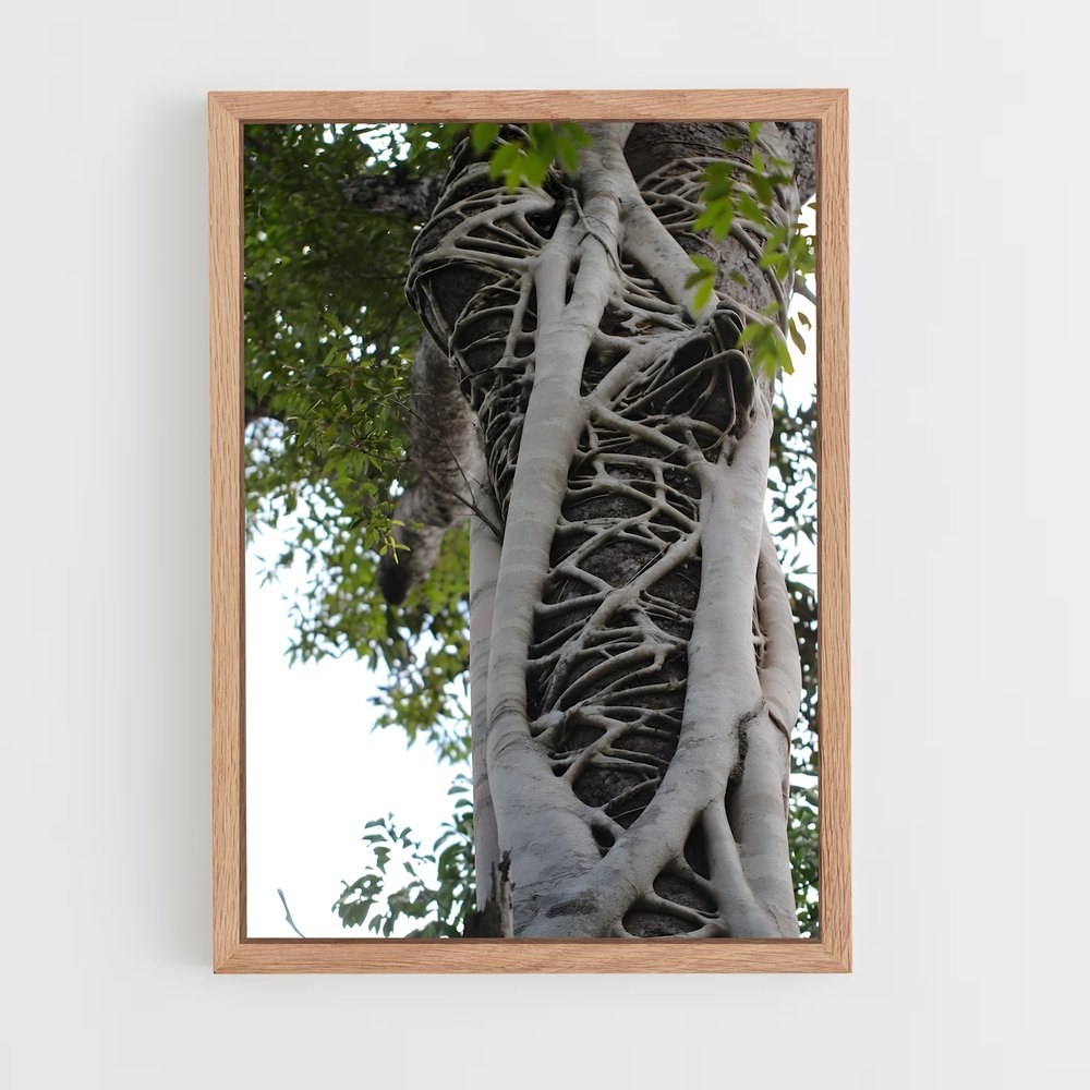 ap-banyan tree-7 cadre Bois clair