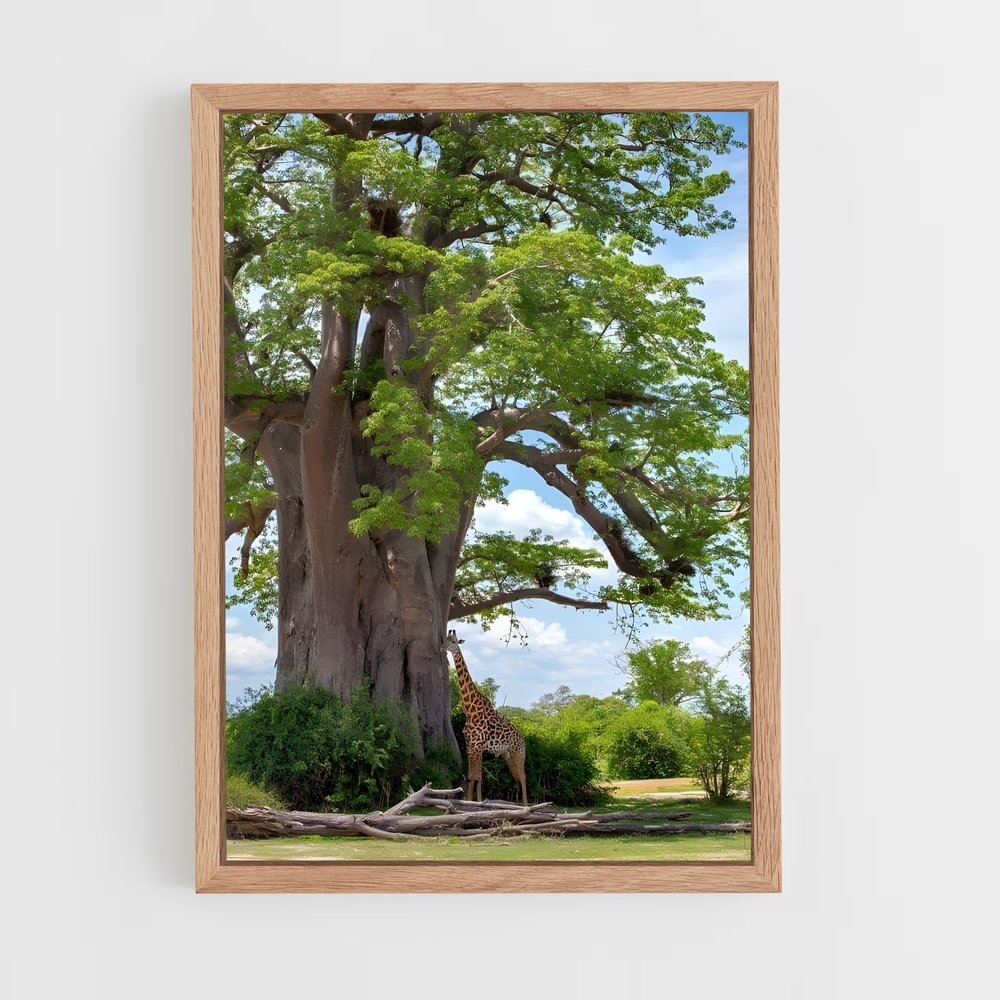 ap-baobab-2 cadre Bois clair