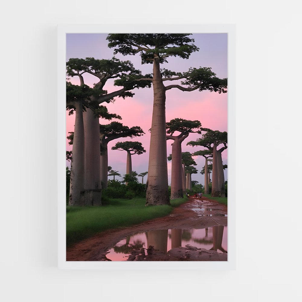 ap-baobab-7 cadre Blanc