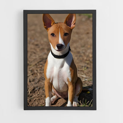 ap-basenji-1 cadre Noir