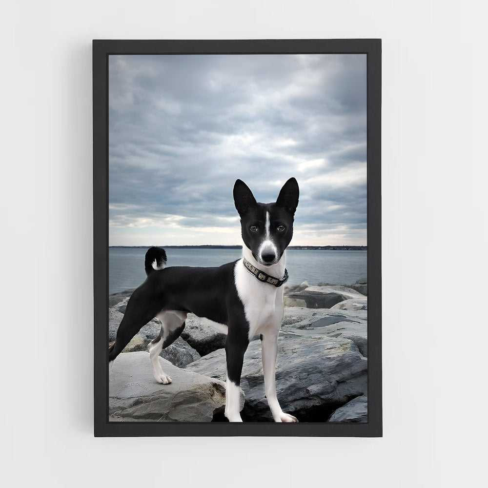 ap-basenji-3 cadre Noir