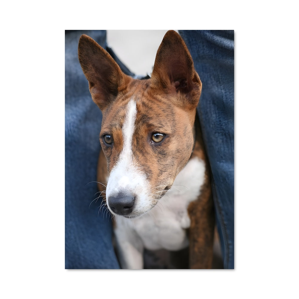 Poster Basenji au Coin du Feu