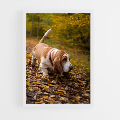 ap-basset hound-4 cadre Blanc