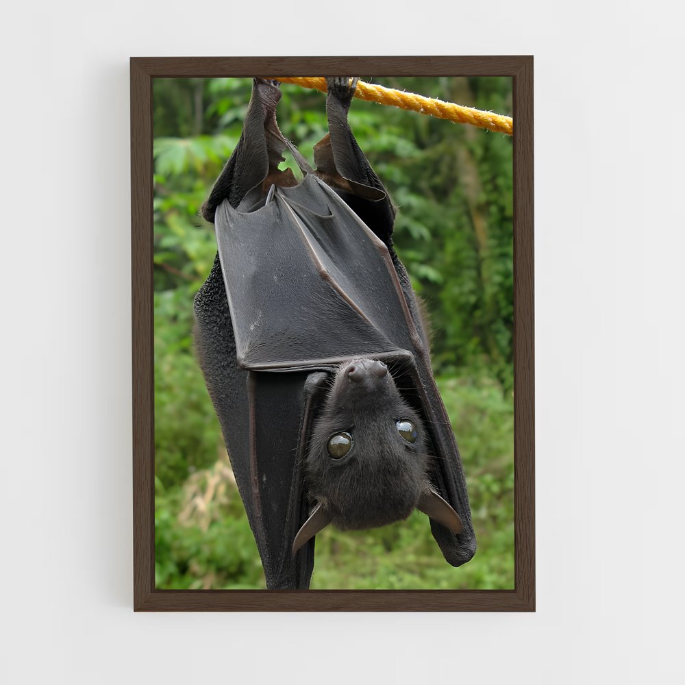 ap-bat-2 cadre Bois foncé