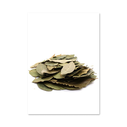 Poster Feuilles de Laurier